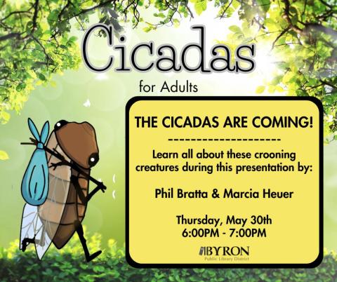 Cicadas Are Coming Graphic