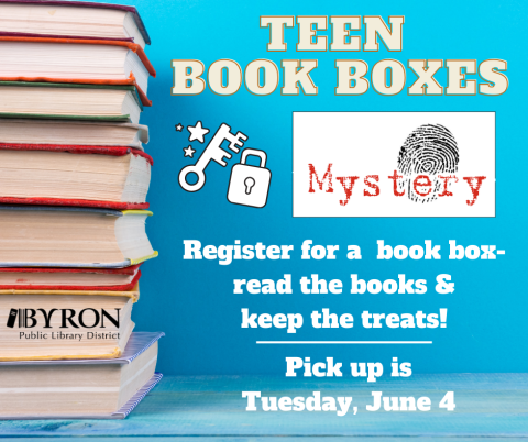 Teen Book Box- Mystery Novels