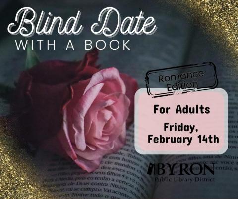 Adult Blind Date with a Book Graphic