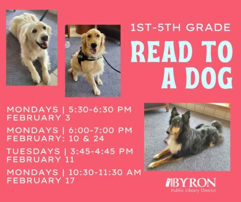 Photos of dogs with program dates.