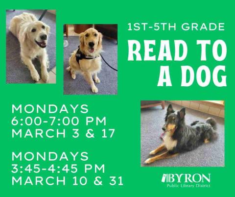 Photos of dogs with program dates.