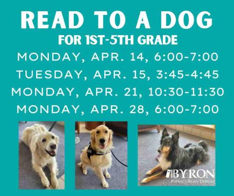 Photos of dogs with program dates.