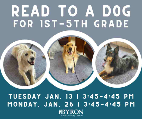 Photo of dogs with program dates.