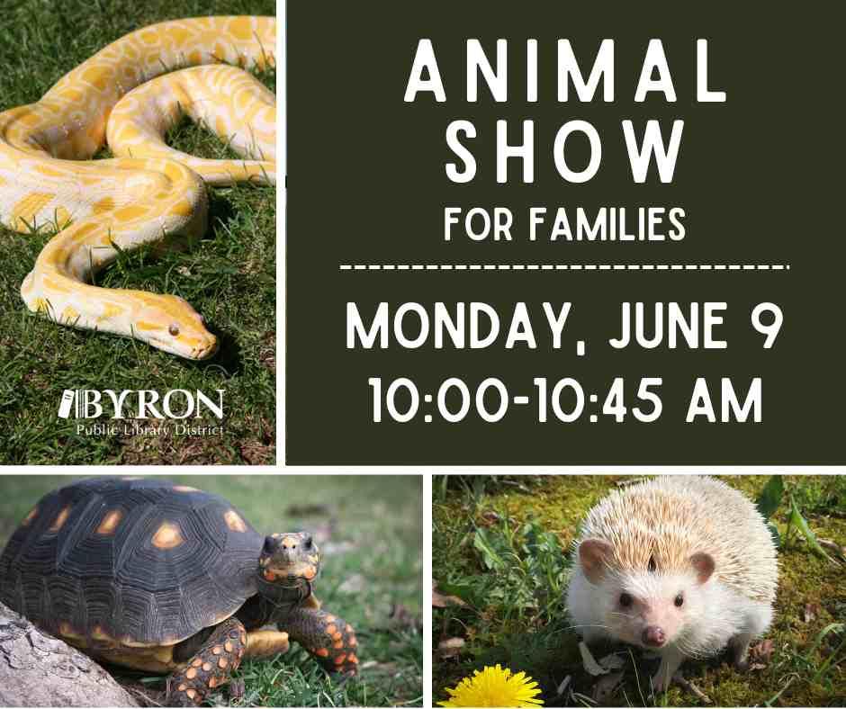 Photo of a snake, turtle & hedgehog with show times.