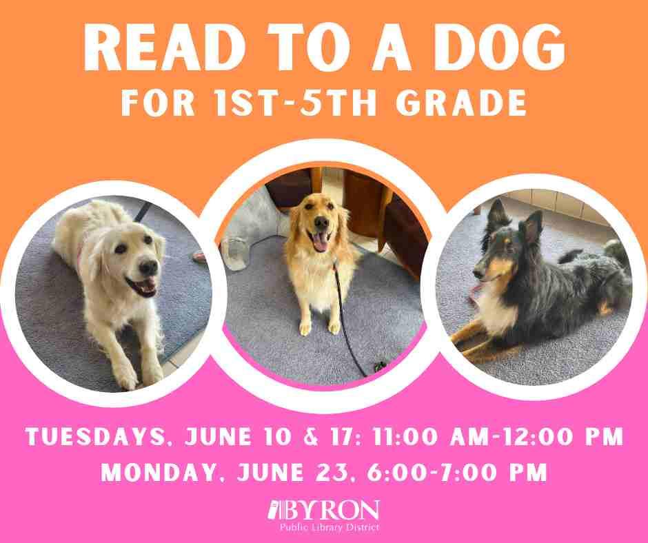 Photos of dogs with program dates.