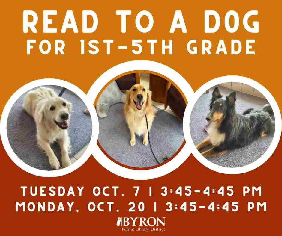 Photos of dogs with program dates.